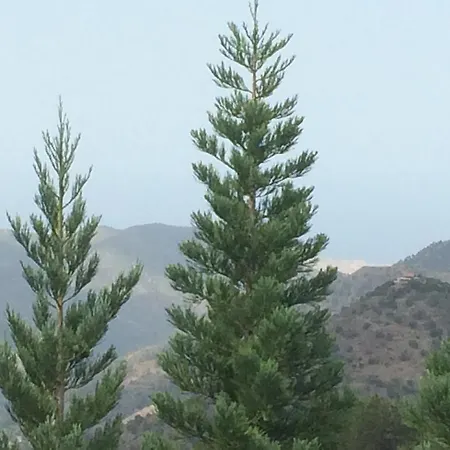 Health Habitat & Slimming Hotel 2*