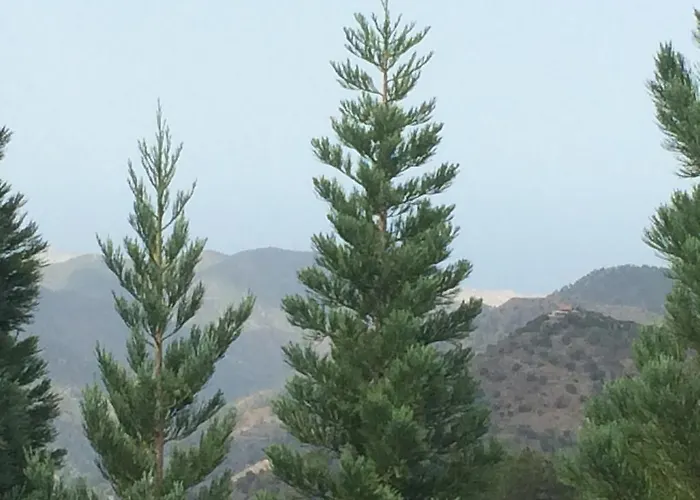 Health Habitat & Slimming Hotel 2*